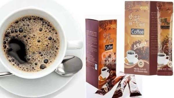 Cordyceps militaris café – Image 5